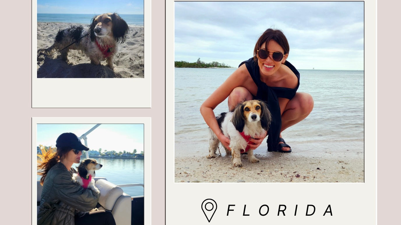 A Letter from our Owner, Natalie