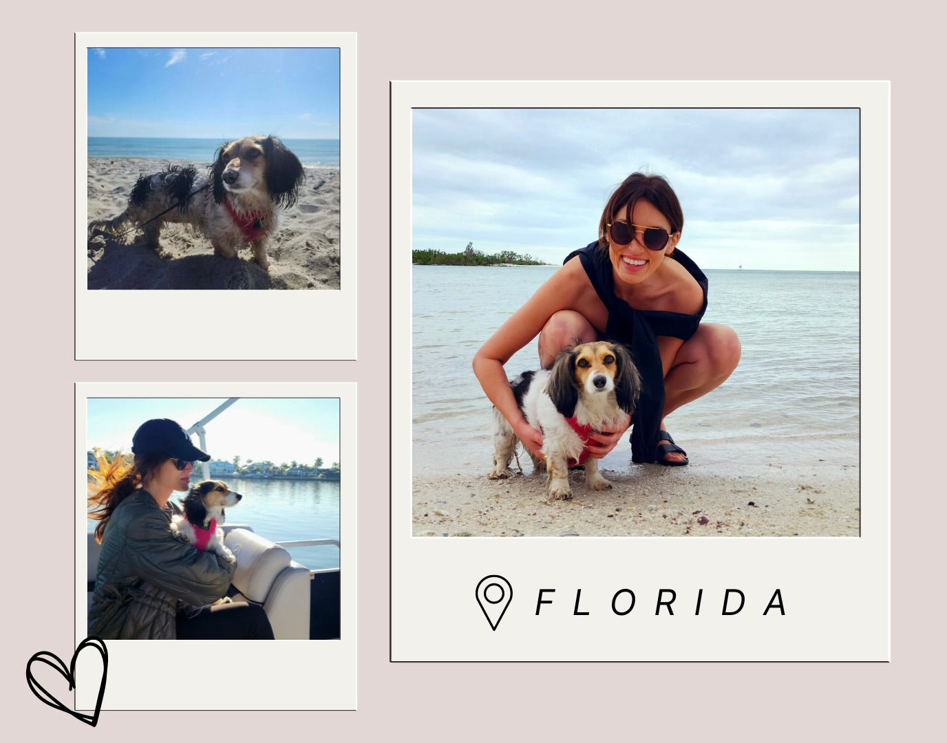 A Letter from our Owner, Natalie